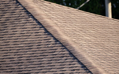 Best Roof Sealant for Asphalt Shingles