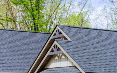 Best Roof Coating for Shingles