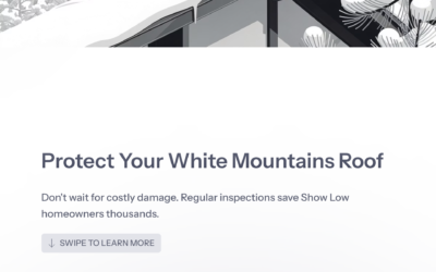 Roof Inspections and Maintenance in Show Low